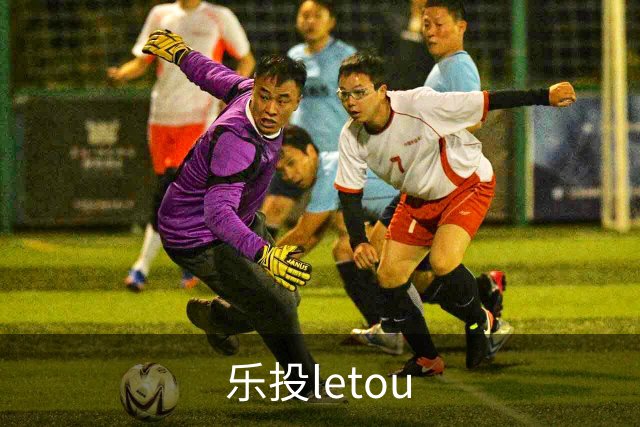 乐投letou公司简介图片