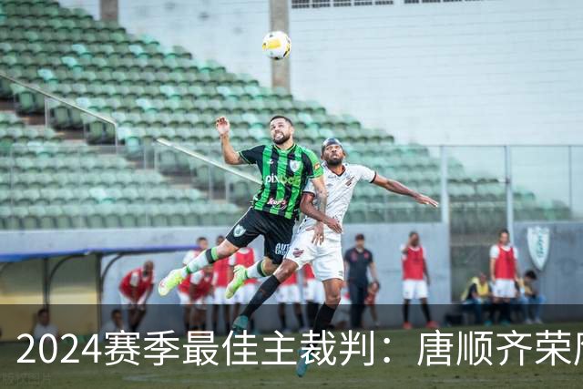 2024赛季最佳主裁判：唐顺齐荣膺金哨 马宁铜哨